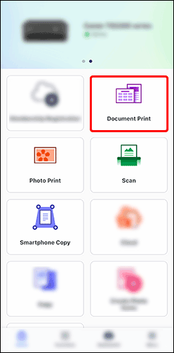 figure: Canon PRINT screen
