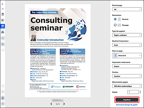 figure&nbsp;: Écran Canon PRINT