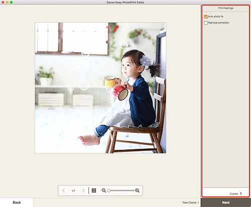 Abbildung: Bildschirm Druckeinstellungen