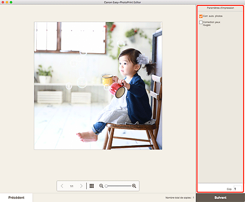 figure&nbsp;: Écran Paramètres d'impression