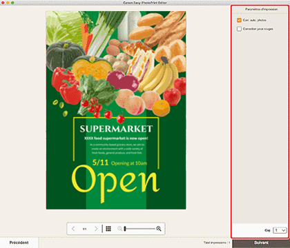 figure : Écran Paramètres d'impression