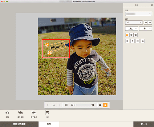 插图:项目编辑屏幕