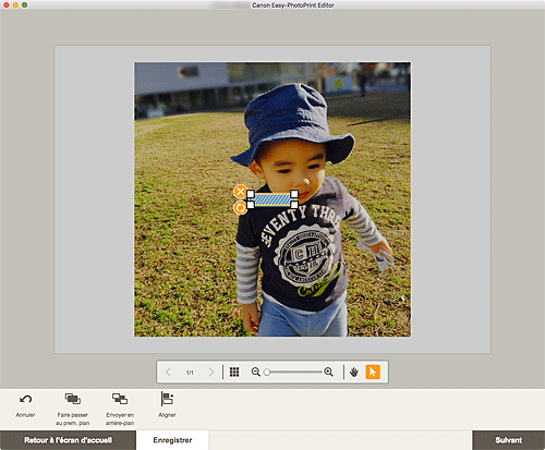 figure&nbsp;: Écran d'édition d'éléments