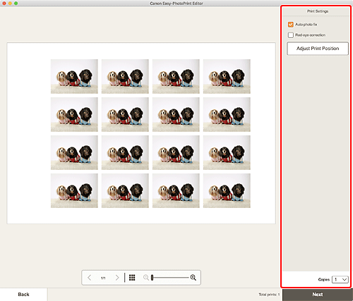 Imagen: pantalla Configuración de impresión