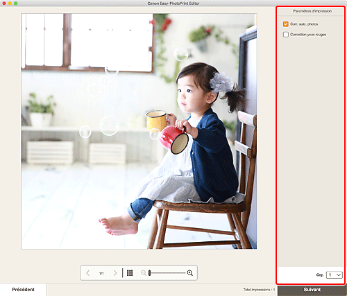 figure&nbsp;: Écran Paramètres d'impression
