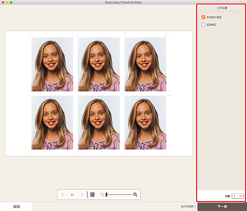 插图：&ldquo;打印设置&rdquo;屏幕