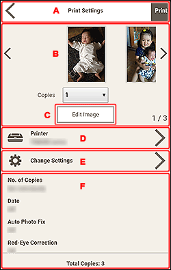 figure: Print Settings screen