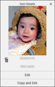 Abbildung: Bildschirm Elementdetails