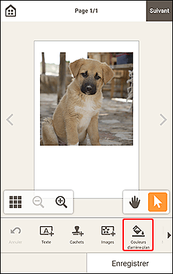 figure&nbsp;: Écran d'édition d'éléments