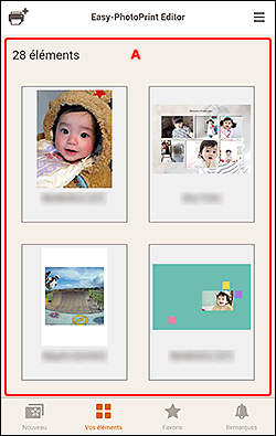 figure&nbsp;: Écran Vos éléments