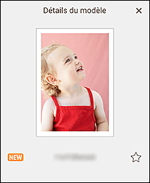figure&nbsp;: Écran Détails du modèle