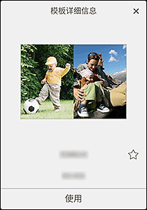 插图：&ldquo;模板详细信息&rdquo;屏幕