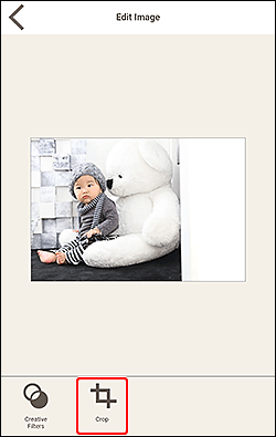 figur: Skärmen Redigera bild