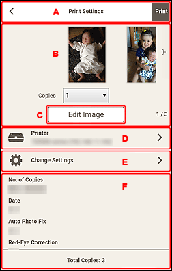 figure: Print Settings screen