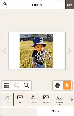 figura: tela edição do Item
