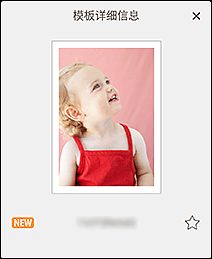 插图:“模板详细信息”屏幕