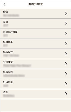 插图:“高级打印设置”屏幕
