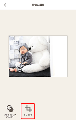 図：画像編集画面