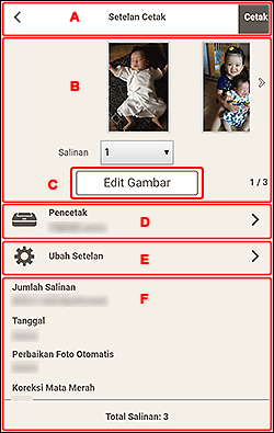 gambar: Layar Setelan Cetak