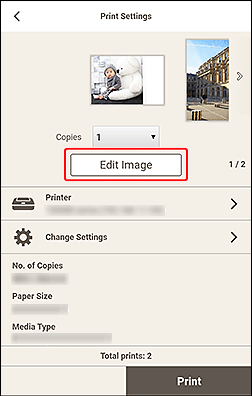 figure: Print Settings screen