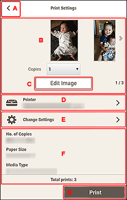 figure: Print Settings screen