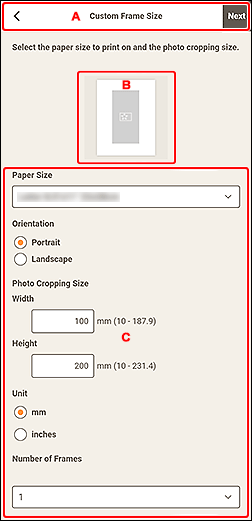figure: Custom Frame Size screen