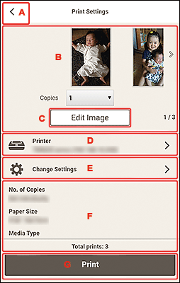 figure: Print Settings screen