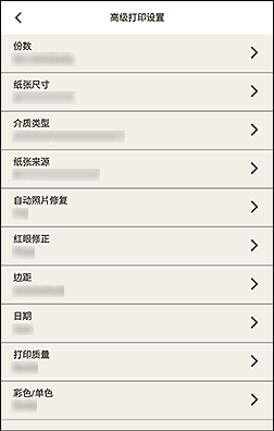 插图：&ldquo;高级打印设置&rdquo;屏幕
