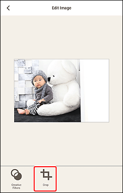 Abbildung: Bildschirm „Bild bearbeiten”