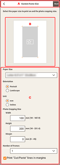 figure: Custom Frame Size screen