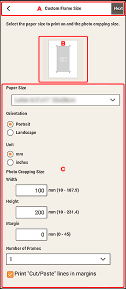 그림: [사용자 정의 프레임 크기] 화면