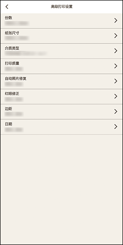 插图：“高级打印设置”屏幕