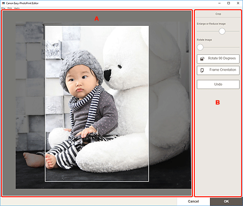 Imagen: Pantalla de recorte