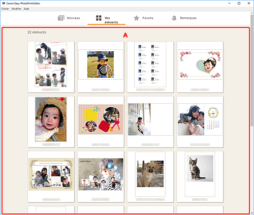 figure&nbsp;: Écran Vos éléments