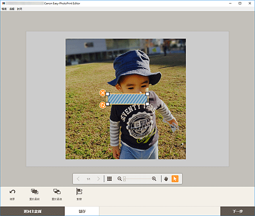插圖:項目編輯螢幕