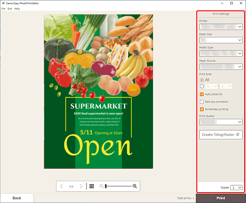 figure: Print Settings screen