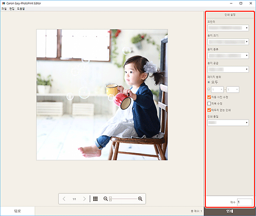 그림: [인쇄 설정] 화면