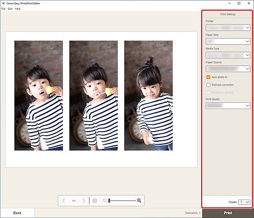 figur: skærmbilledet Udskriftsindstillinger