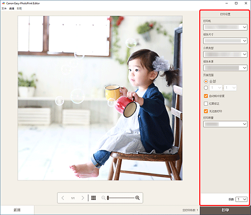 插图：&ldquo;打印设置&rdquo;屏幕