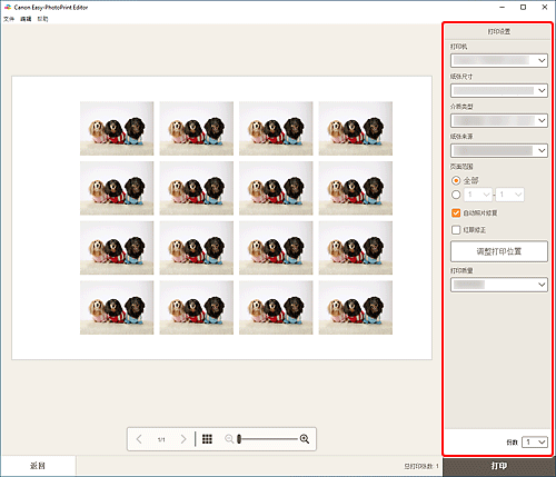 插图:“打印设置”屏幕