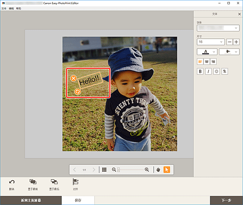 插图:项目编辑屏幕
