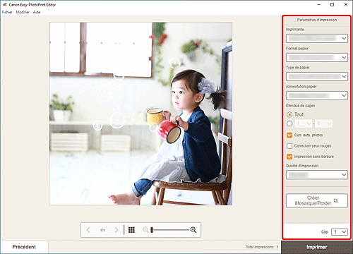 figure&nbsp;: Écran Paramètres d'impression