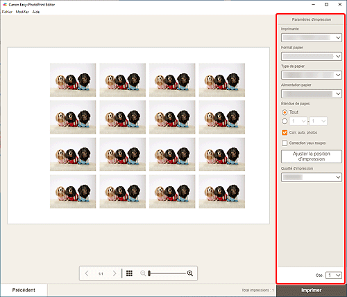 figure&nbsp;: Écran Paramètres d'impression