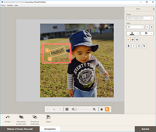 figure&nbsp;: Écran d'édition d'éléments