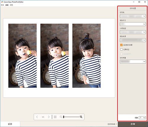 插图：&ldquo;打印设置&rdquo;屏幕