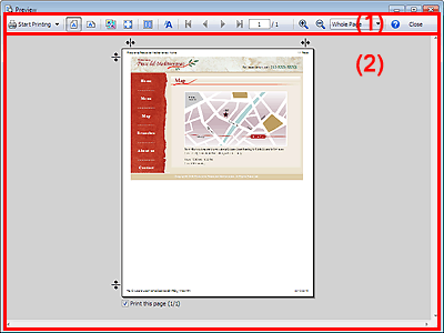 figure: Preview screen
