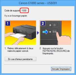 figure : Écran de message d'erreur