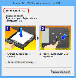 figure : Écran de message d'erreur