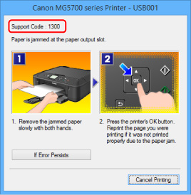 Imagen: pantalla de mensaje de error