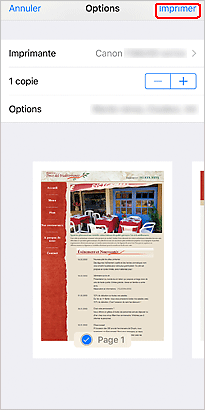 figure&nbsp;: Écran iOS
